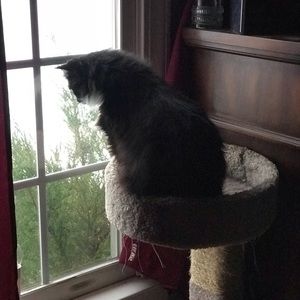 Meet your Posher, Aimee